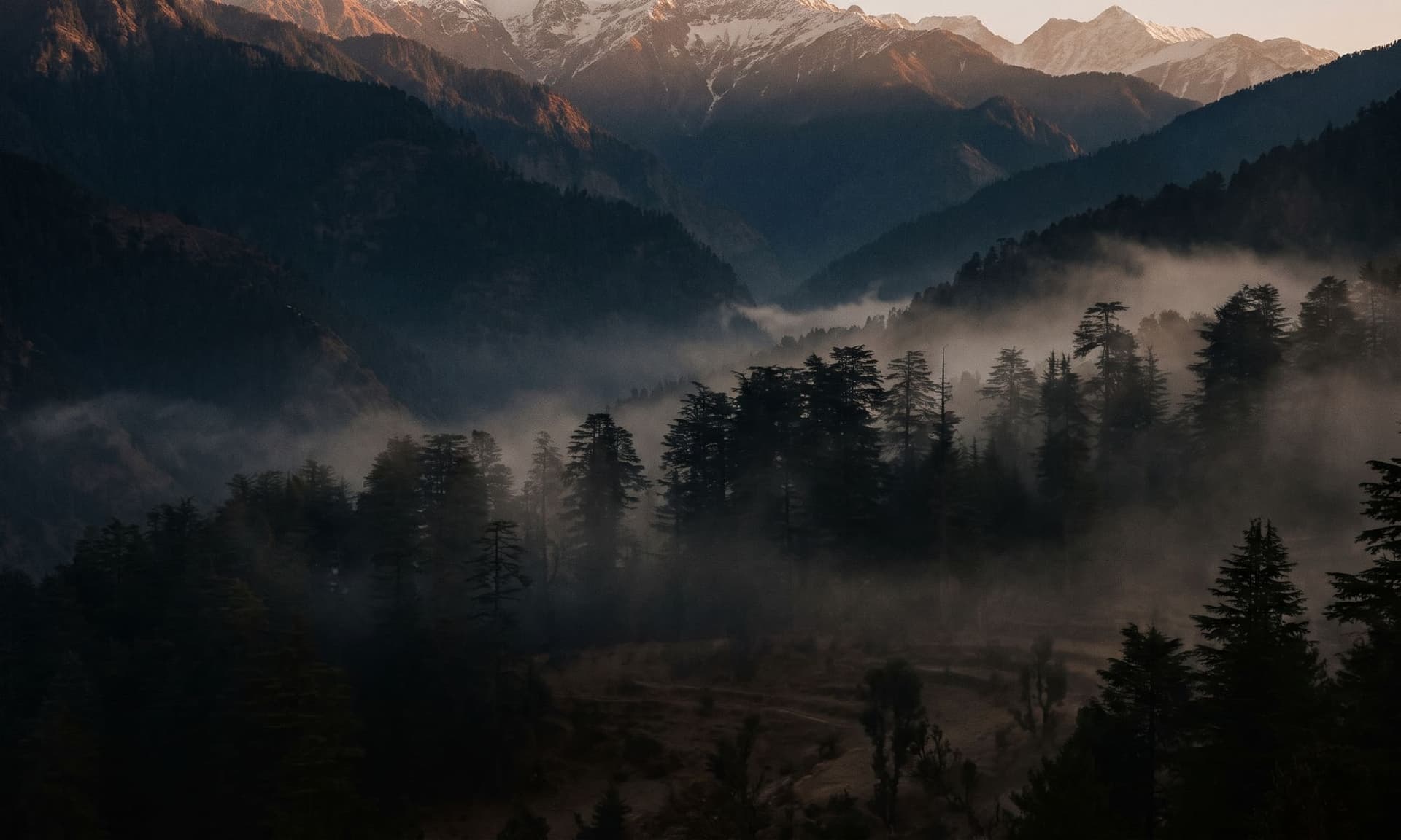 Himalayan foothills near Dehradun at first light, deep shadow in the near valleys, restrained warm light catching only the highest snow ridges, mist drifting through deodar cedars in the mid ground.